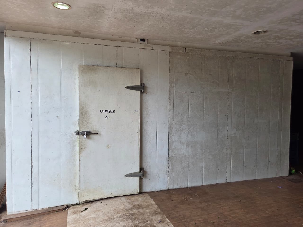 Cold storage facility for vegetables